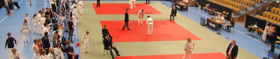Hansa cup 2011 genomförd